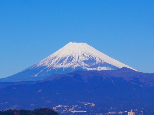 富士山を一望できるロケーション
