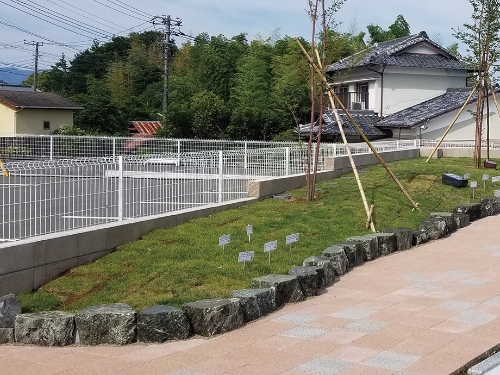 自然に還ることができるお墓 樹木葬