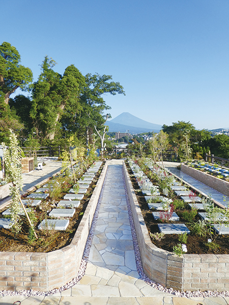 どの区画からも富士山が一望できます
